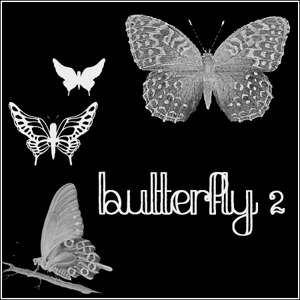 Butterflies_2_by_butnotquite_small-19a525de418d3fc97e437fb0519c19c9.png