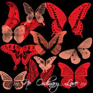 Butterfly_Wings_Brushes_by_NoOrdinaryLove_SMALL-b8b72858a2d3261bdf1e6f2408699f7e.jpg