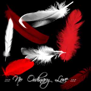 Feathers_Brushes_by_NoOrdinaryLove_SMALL-14ed137409d8b8a601a95b9b4f34d235.jpg